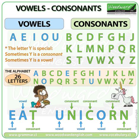 Vowels and consonants .